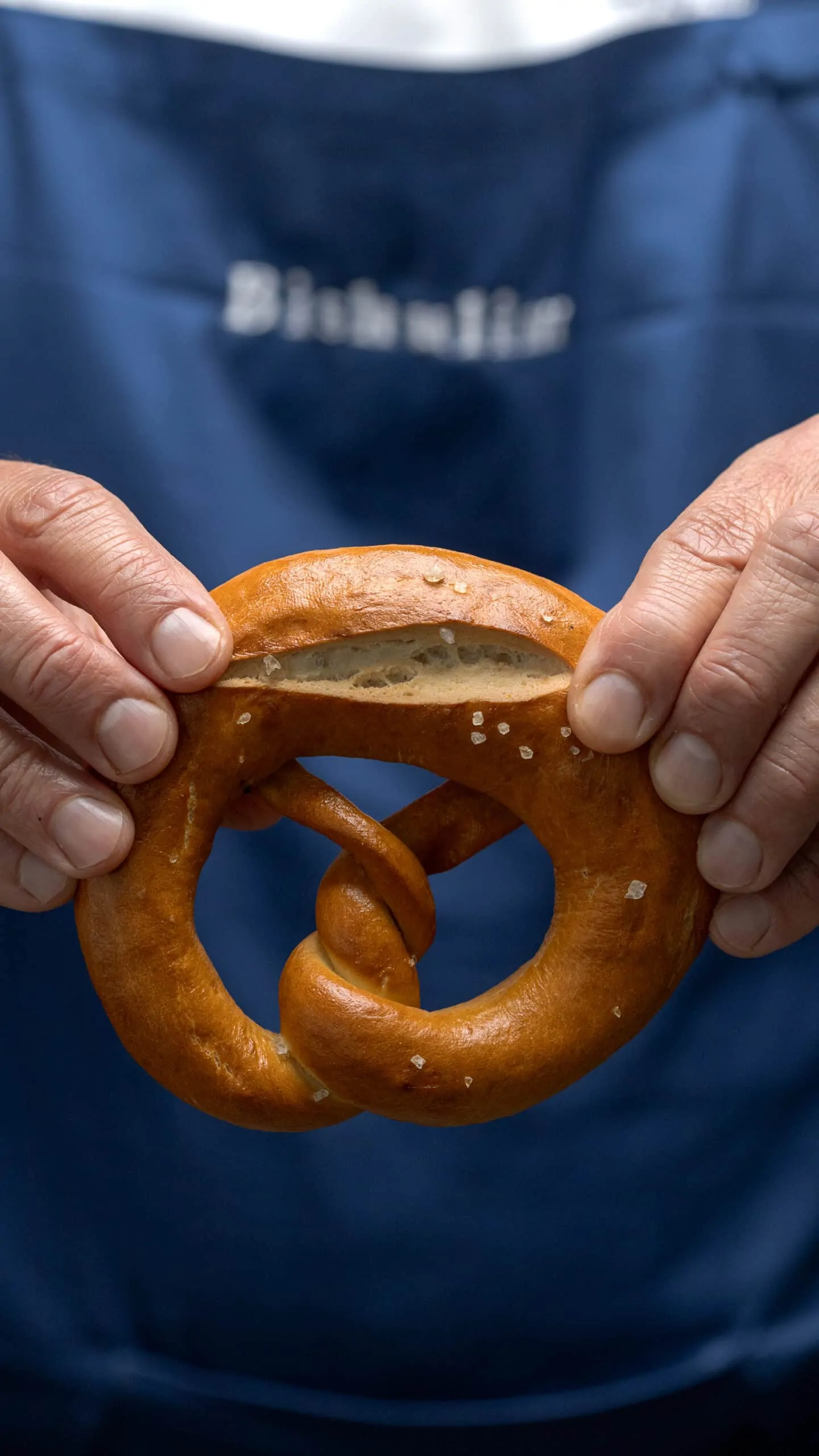 הפרעצל המושלם